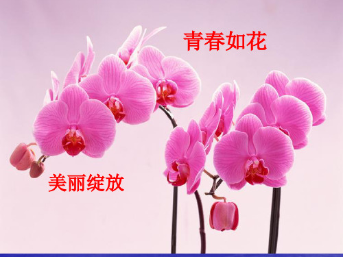 高三16班考试后主题班会课件