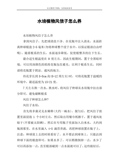 水培植物风信子怎么养