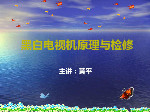 第4章显像管电路