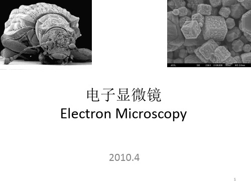 电子显微镜讲义第节