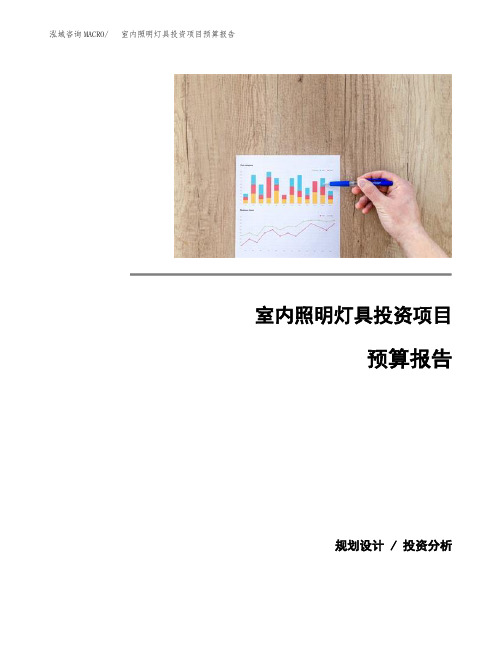 室内照明灯具投资项目预算报告