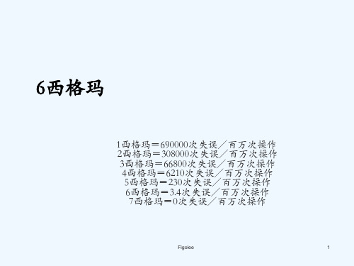 6西格玛的主要原则及其管理PPT(22张)
