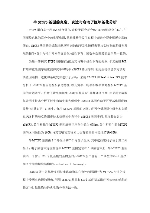 牛SYCP3基因的克隆、表达与启动子区甲基化分析