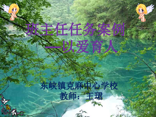 班主任工作案例(以爱育人)ppt课件