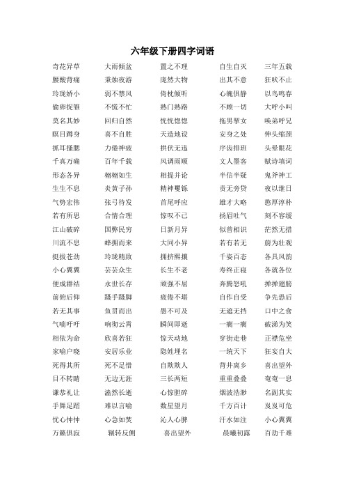 北师大版六年级下册四字词语