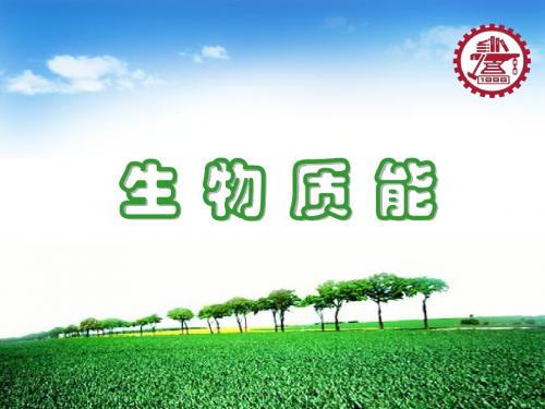 生物质能