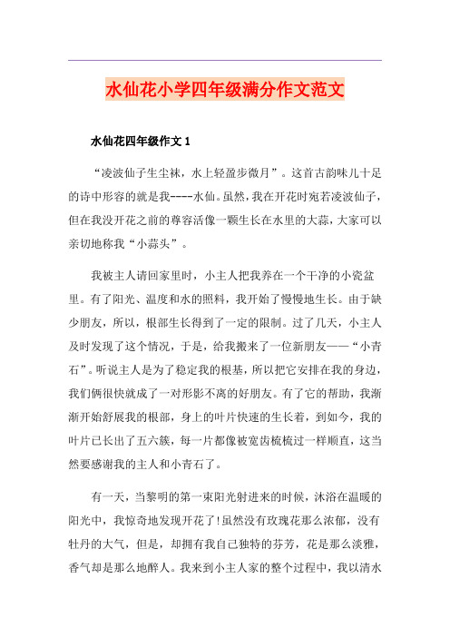 水仙花小学四年级满分作文范文
