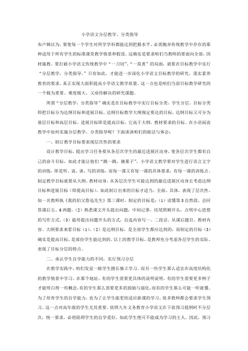 小学语文分层教学参考资料