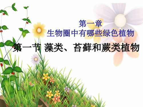 藻类、苔藓和蕨类植物公开课