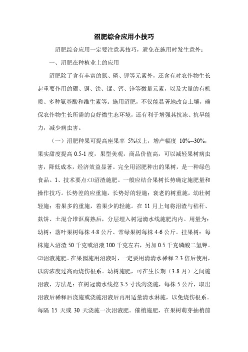 沼肥综合应用小技巧.doc