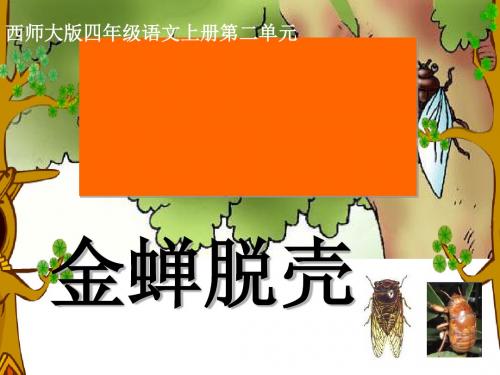 《金蝉脱壳》PPT课件3 (共15张PPT)