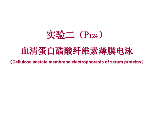 血清蛋白醋酸纤维素薄膜电泳实验