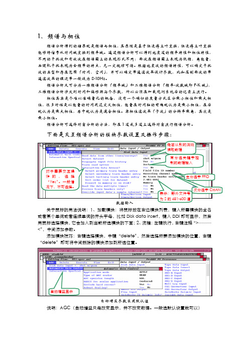 频谱分析、速度分析、真振幅恢复—姜绍辉[1].do__ c