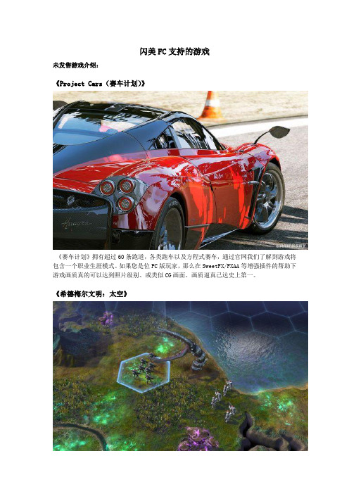 闪美FC支持的游戏
