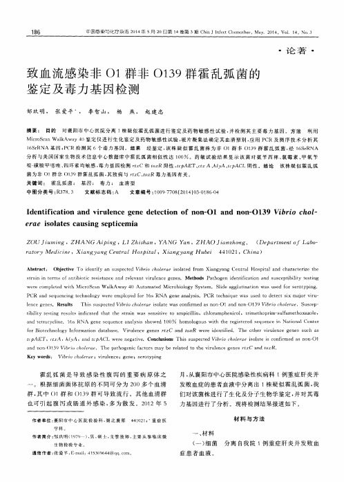 致血流感染非O1群非O139群霍乱弧菌的鉴定及毒力基因检测