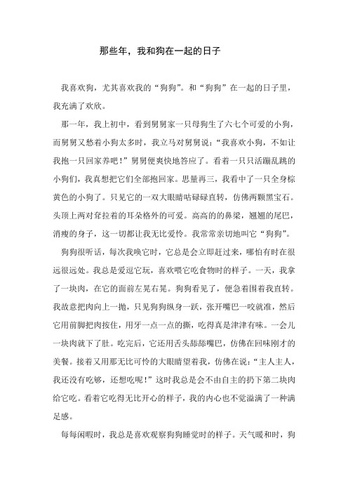 那些年,我和狗狗在一起的日子