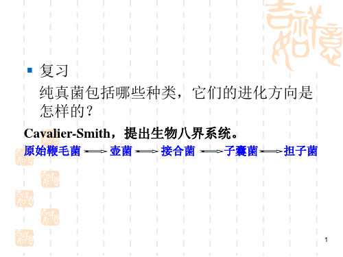 壶菌门、接合菌门及子囊菌门(课堂PPT)