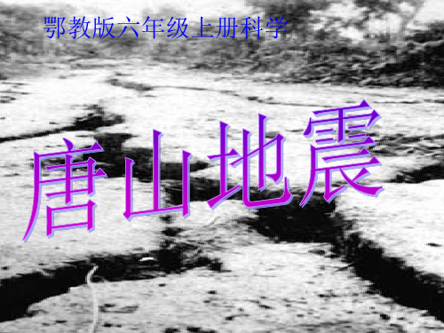 六年级上册科学唐山地震鄂教版