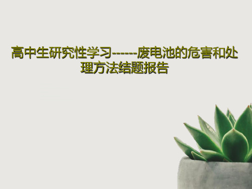 高中生研究性学习------废电池的危害和处理方法结题报告19页PPT