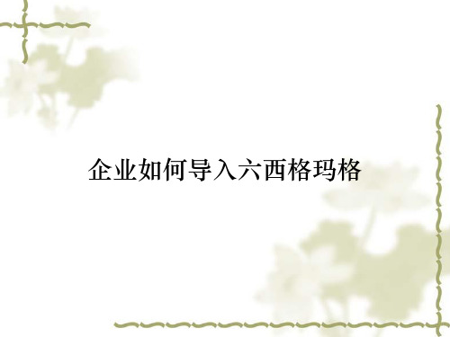 企业如何导入六西格玛格