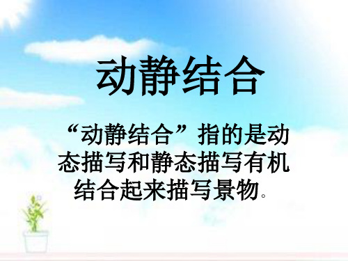 动静结合写景 景更美