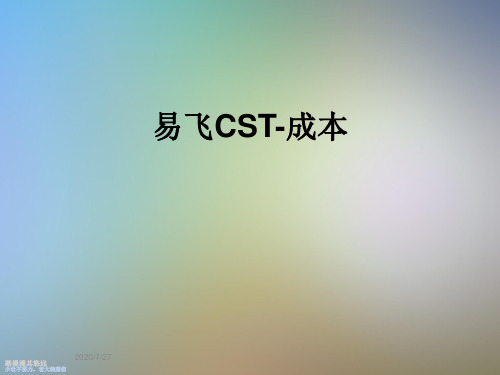易飞CST-成本