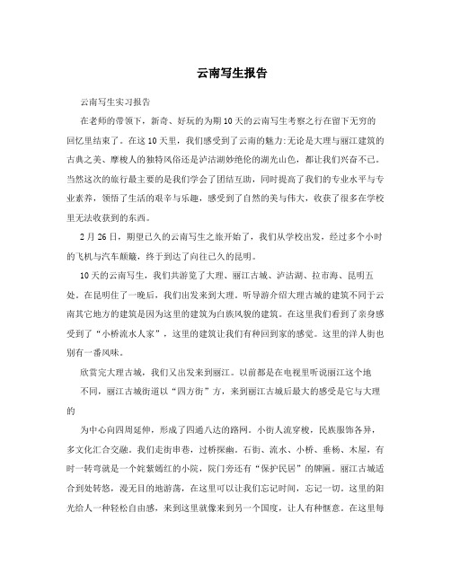 云南写生报告