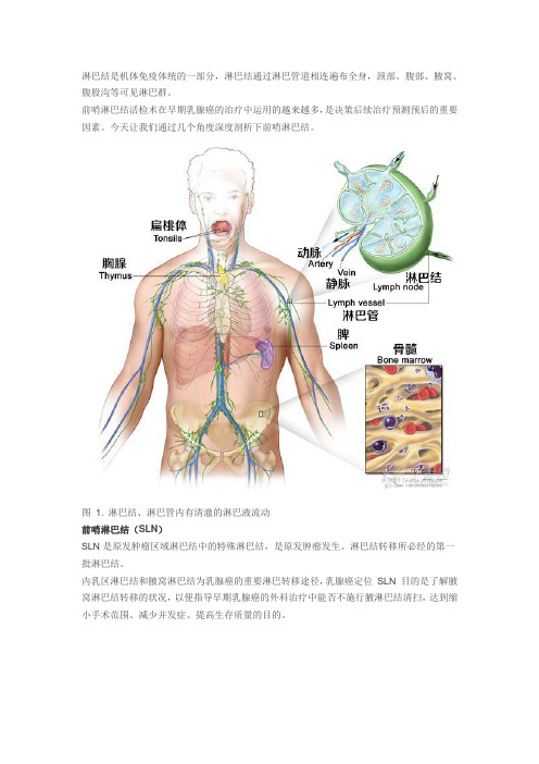 前哨淋巴结