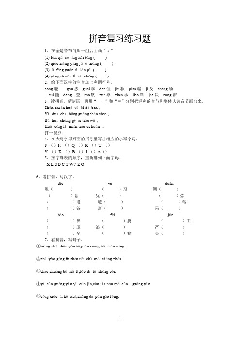 拼音复习练习题