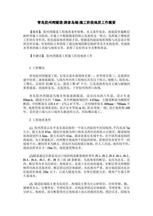 青岛胶州湾隧道(薛家岛端)施工阶段地质工作概要