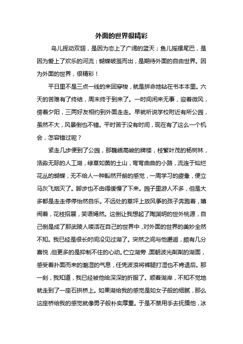 高一作文：外面的世界很精彩作文800字