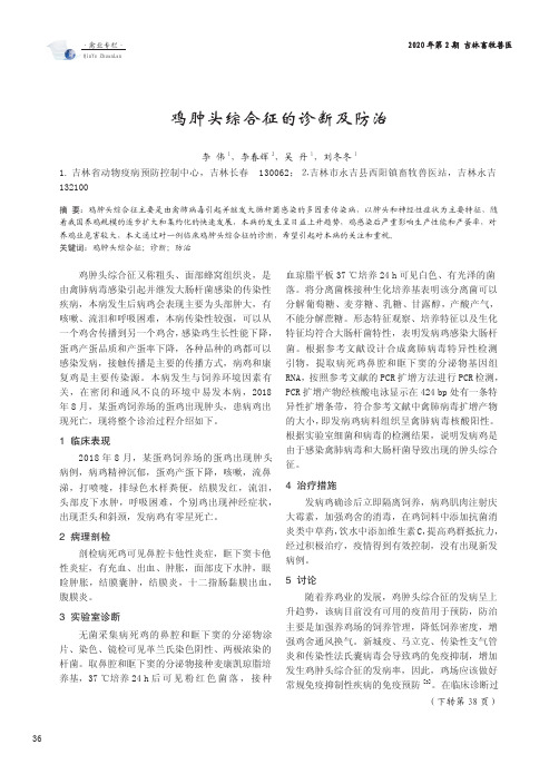 鸡肿头综合征的诊断及防治
