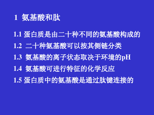 氨基酸和肽