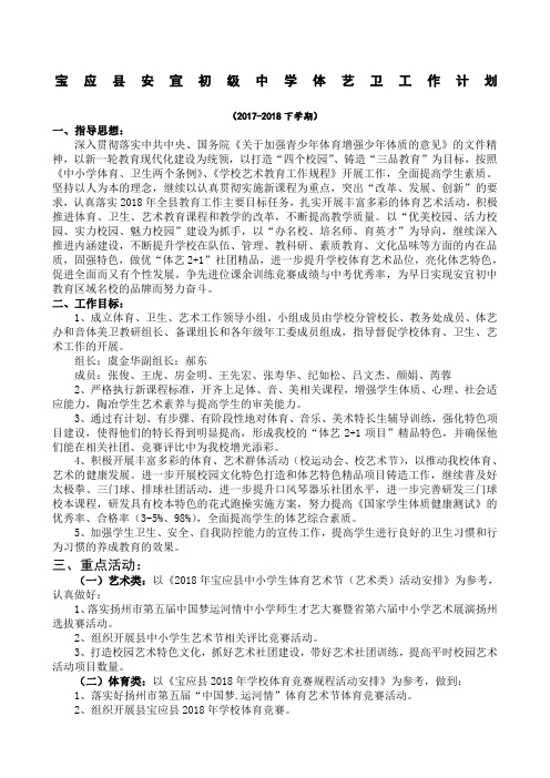 宝应县安宜初级中学体艺卫工作计划下