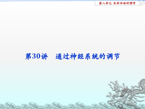 全国2018版高考生物大一轮复习第八单元生命活动的调节第30讲通过神经系统的调节课件