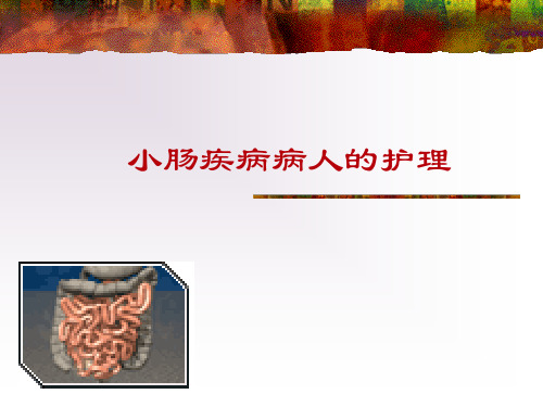 小肠疾病病人的护理课件