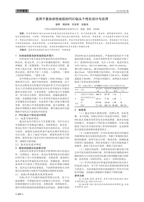 适用于复杂岩性地层的PDC钻头个性化设计与应用