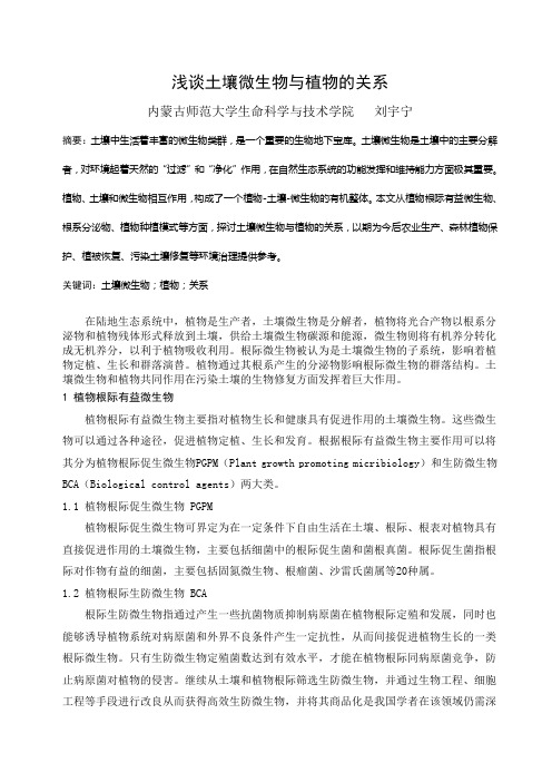 浅谈土壤微生物与植物的关系
