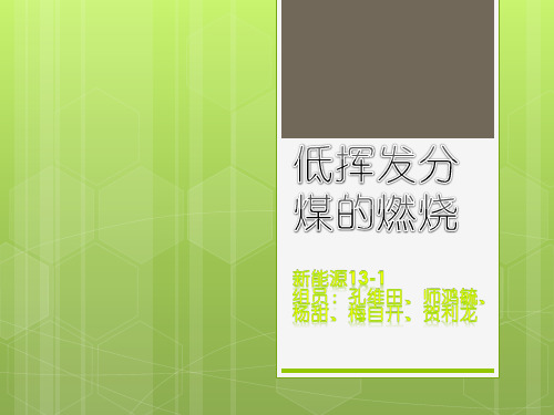 低挥发分煤燃烧