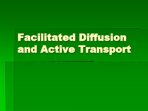 Facilitated Diffusion and Active Transport：易化扩散和主动运输13页PPT