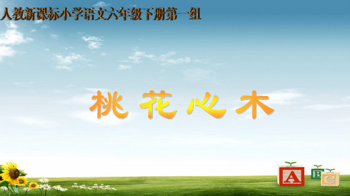 新课标人教版小学六年级语文下册3_桃花心木正稿精品PPT课件