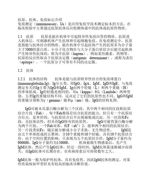 抗原、抗体、免疫标记介绍