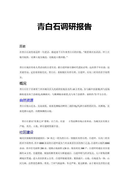 青白石调研报告