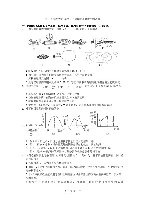 重庆市六校2013届高三上学期期末联考生物试题