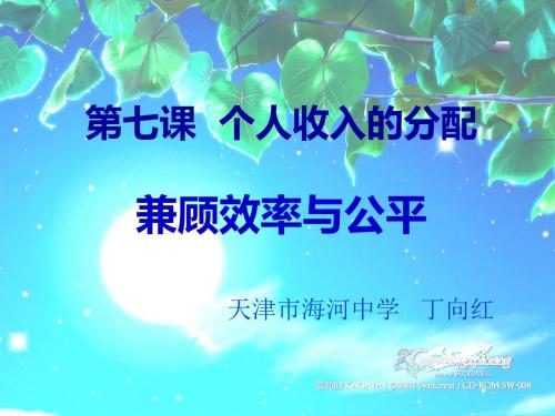 必修1第七课第一框兼顾效率和公平-PPT精品文档