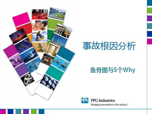 鱼骨图与5Why培训