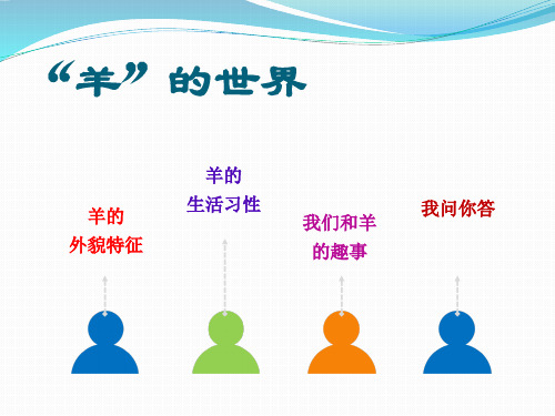 羊的介绍