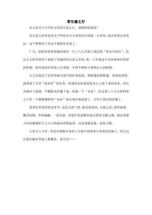 若尔盖之行_小学作文