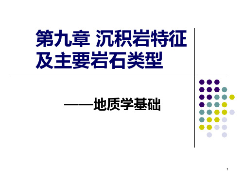 沉积岩特征及主要岩石类型