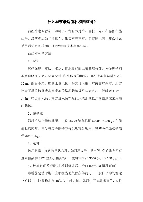 什么季节最适宜种植西红柿-